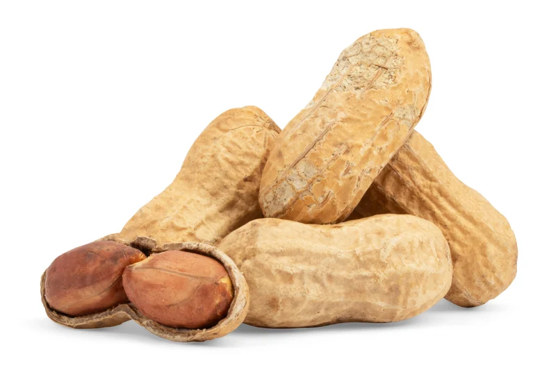 Jumbo Dry Roasted Peanuts (In Shell)