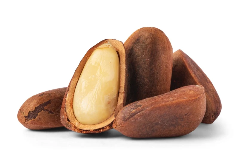 Raw Pine Nuts (In shell) for Birds