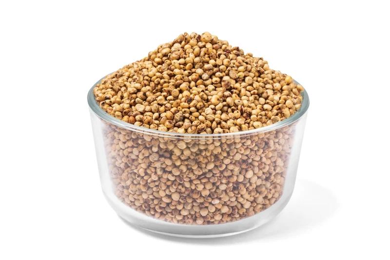 Organic Sprouted Sorghum
