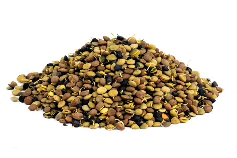 Organic Sprouted Lentil Blend