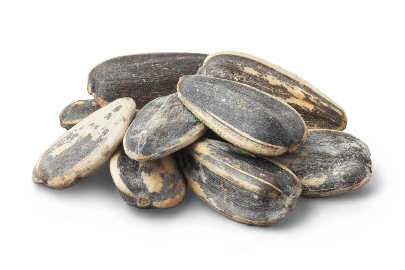 Jumbo Roasted Sunflower Seeds (Salted, In Shell)