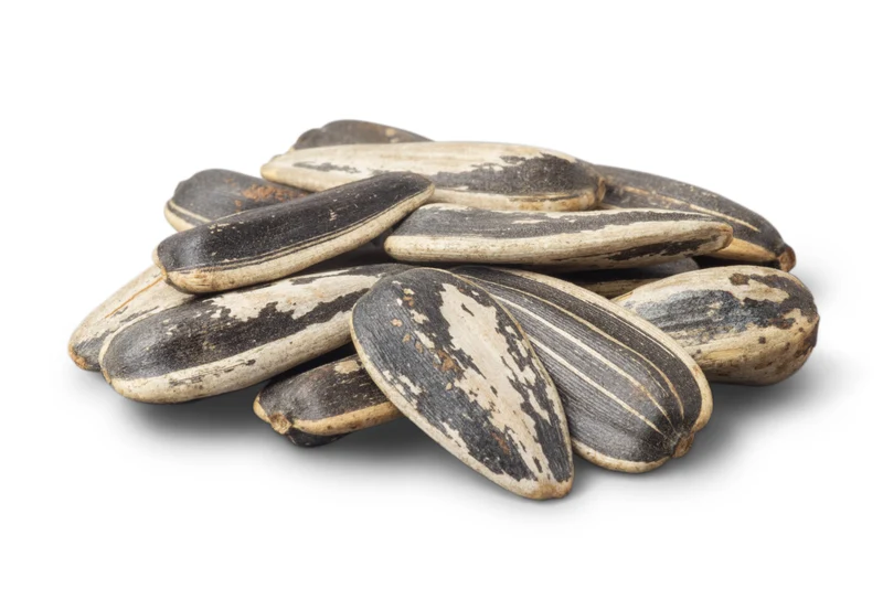 Jumbo Roasted Sunflower Seeds (Unsalted, In Shell)