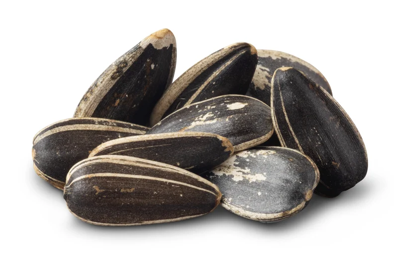 Jumbo Raw Sunflower Seeds (In Shell)
