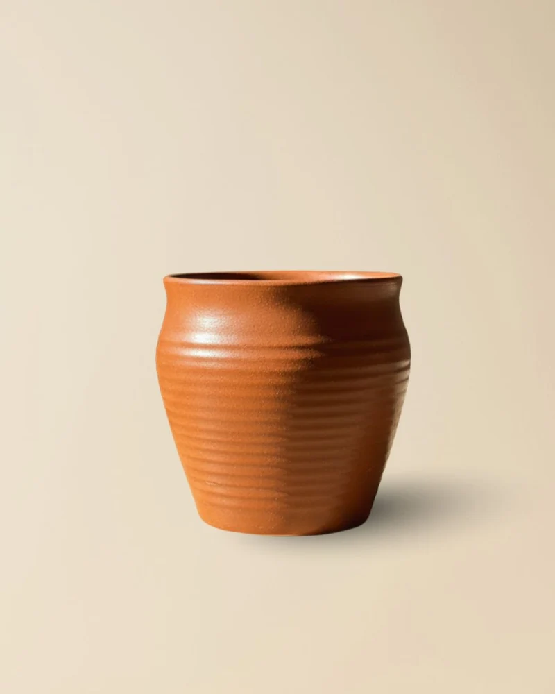 Kullad - Traditional Indian Ceramic Chai Mug