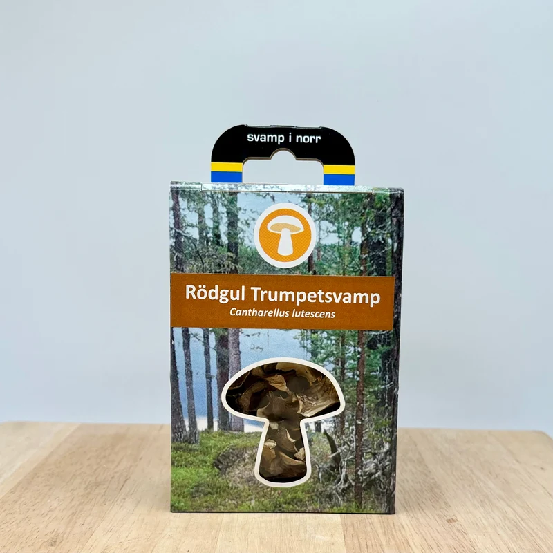 Torkad rödgul trumpetsvamp