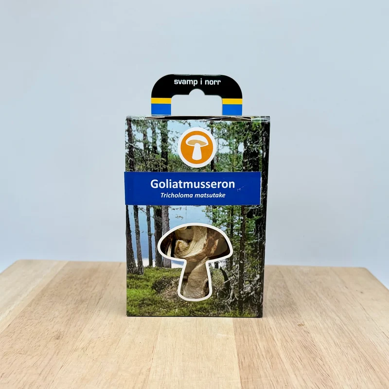 Torkad goliatmusseron