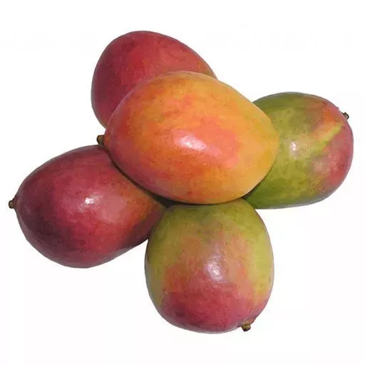 Økologisk Mango - 100G - Spanien - Uge 36 2026