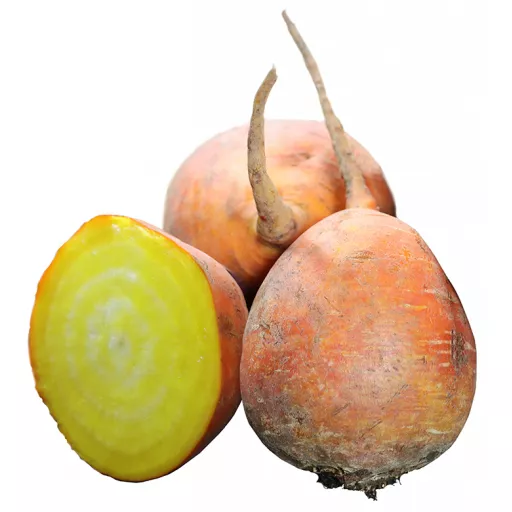 Biodynamiske Gule Beder - 100G - Tyskland - Uge 36 2026