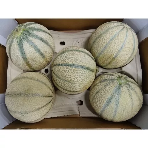 Økologisk Melon 'Charentais' - 100G - Spanien