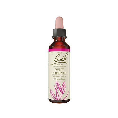 Bach Original Blomsterremedier | Äkta Kastanj
