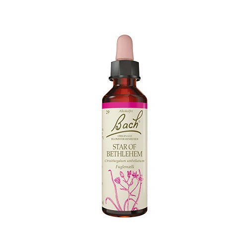 Bach Original Blomsterremedier | Fågelmjölk
