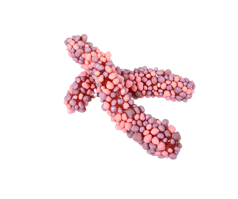 Geeks Worms Purple & Pink 50g