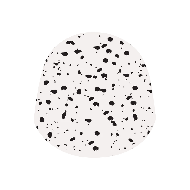Cookies & Cream White Chocolate Bonbon