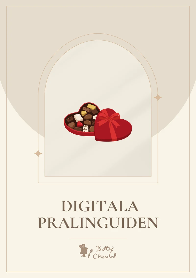 Digitala pralinguiden för nybörjare