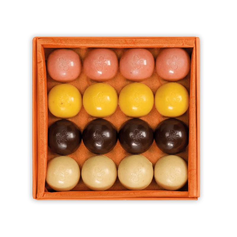 Guido Gobino Fruit & Spice Semisphere Chocolate Gift Box (32 pcs)