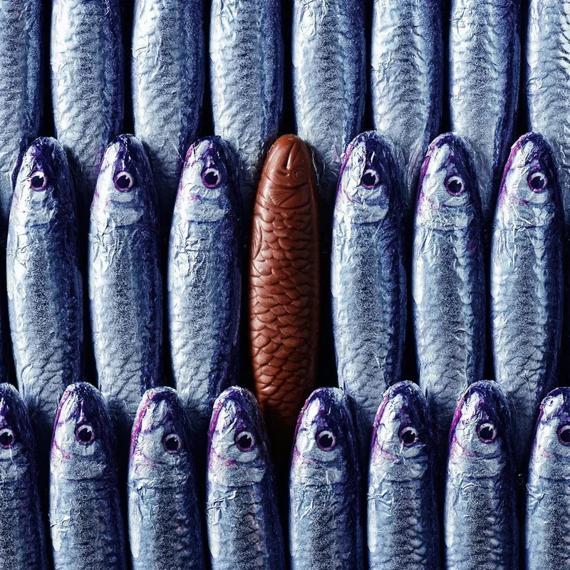 Michel Cluizel Milk Chocolate Sardine Bag (15 pcs) 39%