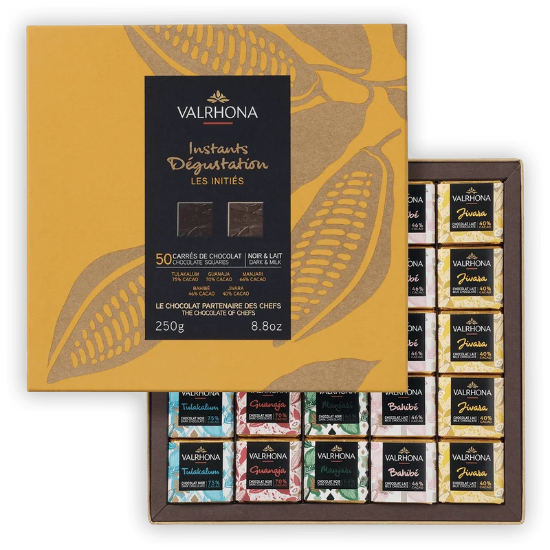 Valrhona Mini Squares Gift Box Mixed (50 pcs)