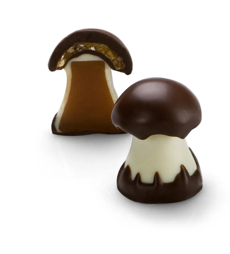 Michel Cluizel Chocolate Mushroom Truffles w/ Caramel
