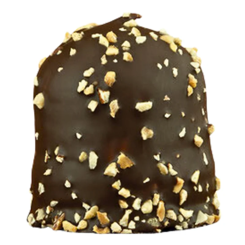 Hazelnut mörk choklad - Hazelnut dark (Rocher)