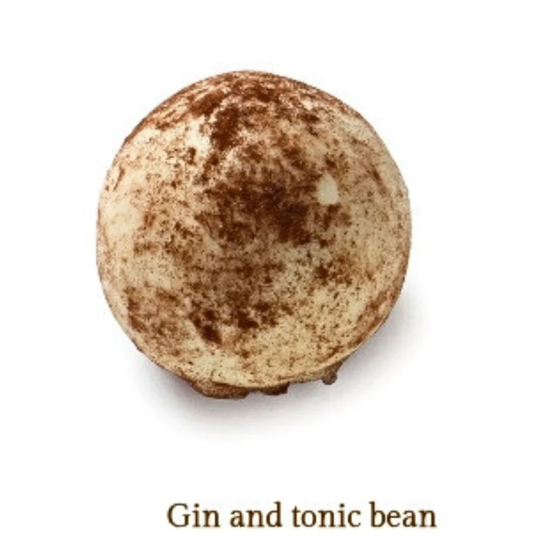 Gin and tonic bean