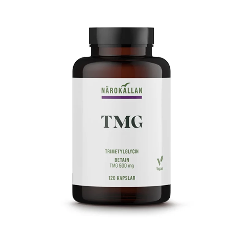 TMG, 120 kap