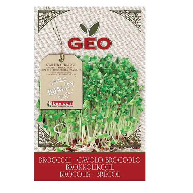 Groddfrö Broccoli, 13 g Eko