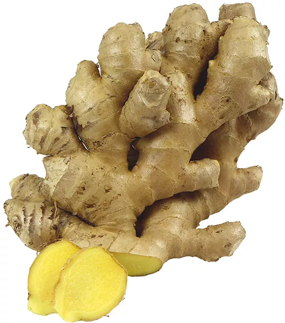 Økologisk Ingefær - 100G - Peru - Uge 36 2026