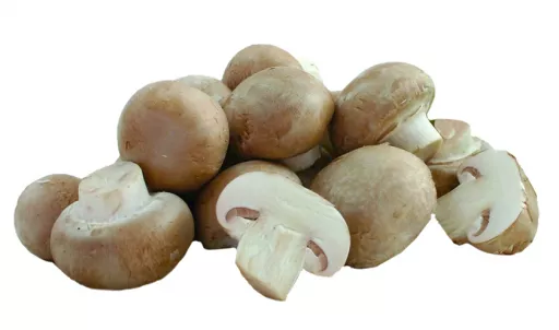 Økologiske Brune Champignon - 100G - Tyskland - Uge 36 2026