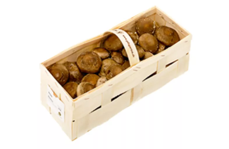 Biodynamiske Shiitake Svampe - 100G - Tyskland