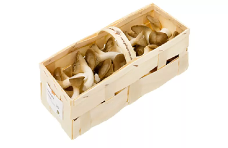 Biodynamiske Kejserhatte - 100G - Tyskland