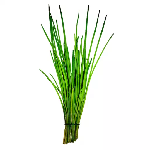 Biodynamiske Purløg - 1 Bdt - Tyskland