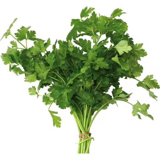 Biodynamisk Bredbladet Persille - 1 Bdt - Tyskland - Uge 36 2026