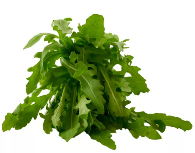 Biodynamisk Rucola - 1 Bdt - Tyskland - Uge 36 2026