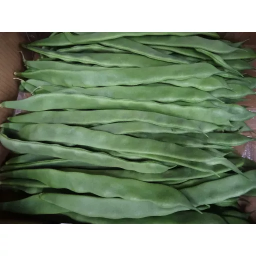 Biodynamiske Snitbønner - 100G - Tyskland - Uge 36 2026