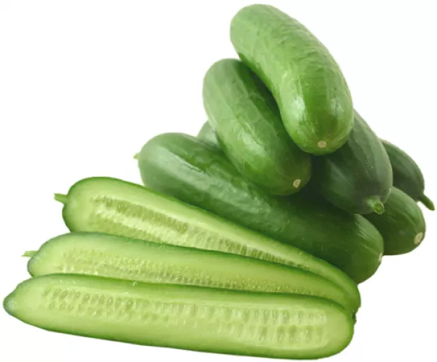 Økologiske Mini Agurker - 100G - Tyskland - Uge 36 2026
