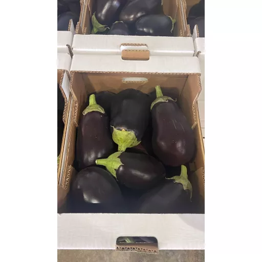 Økologiske Aubergine - 100G - Italien - Uge 36 2026
