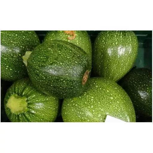 Biodynamiske Runde Courgettes - 100G - Tyskland