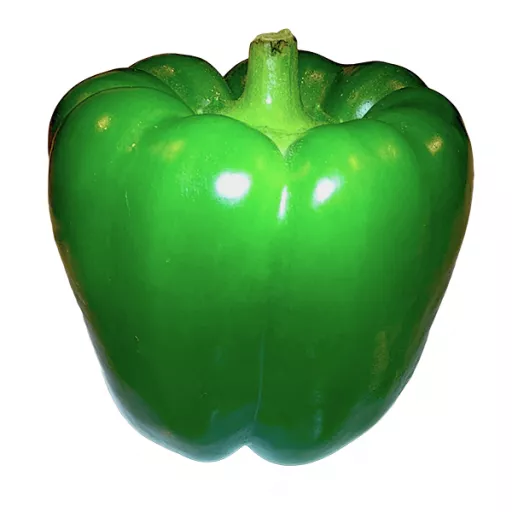 Biodynamisk Grøn Peberfrugt - 100G - Tyskland - Uge 36 2026