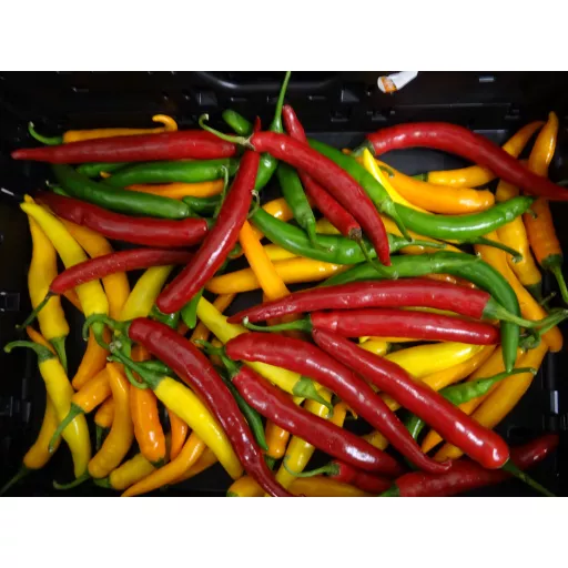 Økologisk Chili Mix - 100G - Tyskland - Uge 36 2026