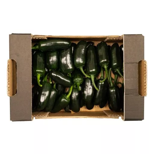 Økologiske Padron Peber - 100G - Spanien - Uge 36 2026