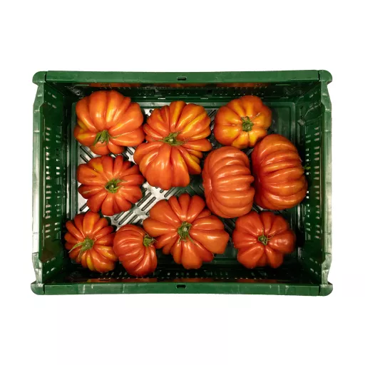 Økologiske Heirloom Tomater - 100G - Tyskland