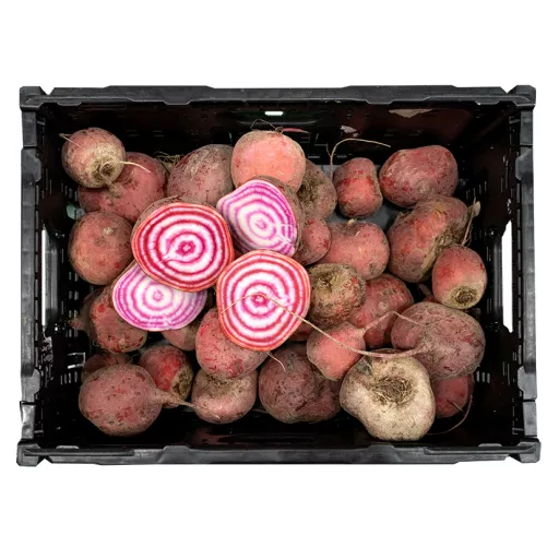 Biodynamiske Bolche Beder - 100G - Tyskland - Uge 38 2026