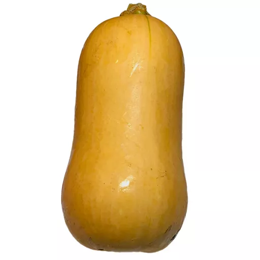 Økologisk Butternut Squash - 100G - Tyskland - Uge 38 2026