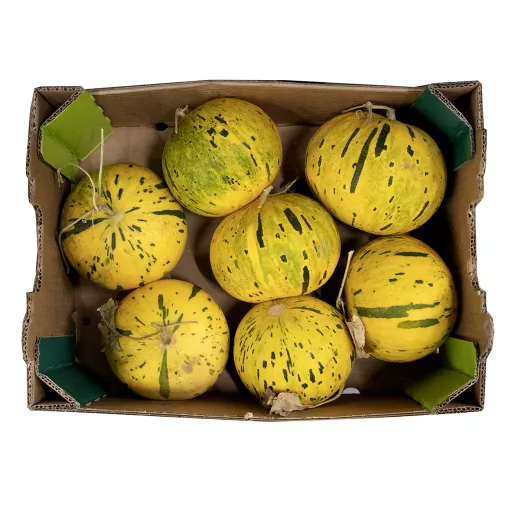 Økoloigisk Melon 'Thrakis' - 100G - Grækenland - Uge 38 2026