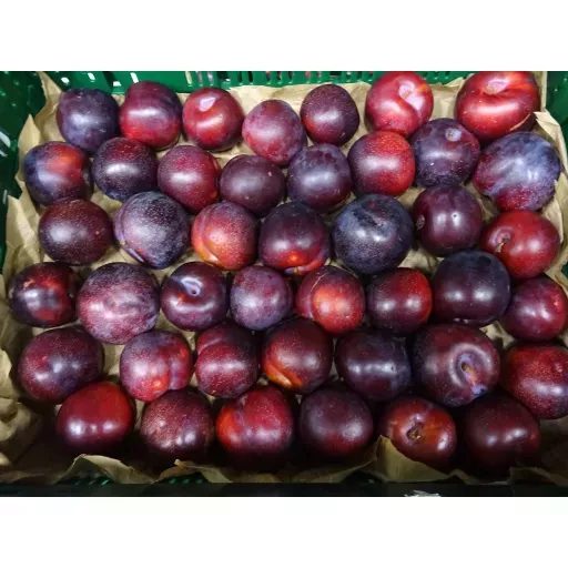 Økoloigiske Blå Blommer - 100G - Italien - Uge 38 2026