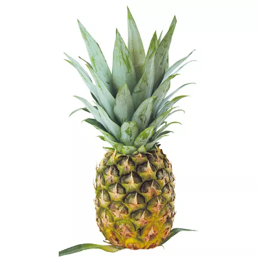 Økoloigisk Ananas - 1 Stk - Costa Rica - Uge 37 2026