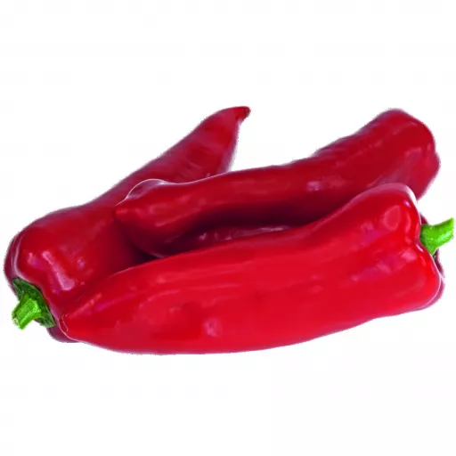 Økologisk Peberfrugt 'Florina' - 100G - Grækenland - Uge 37 2026