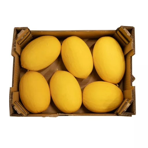 Økologisk Melon 'Canari' - 100G - Spanien - Uge 37 2026