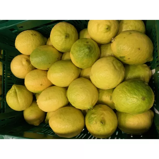 Økologiske Citroner 'Fino' - 100G - Spanien - Uge 37 2026
