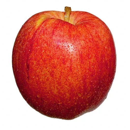 Biodynamiske Æbler 'Sissired' - 100G - Tyskland - Uge 37 2026